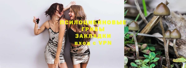 круглые Алексин