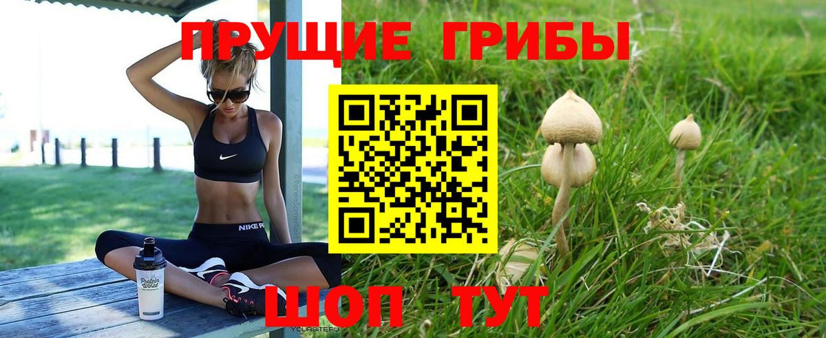 Галлюциногенные грибы Psilocybe Нарьян-Мар